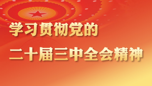 學(xué)習(xí)貫徹黨的二十屆三中全會(huì)精神